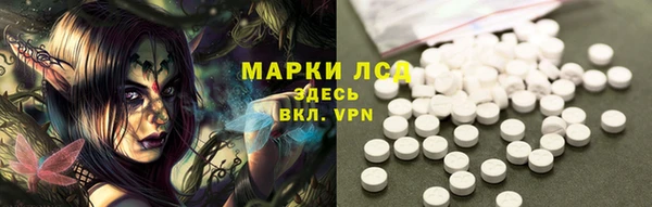 спиды Аркадак