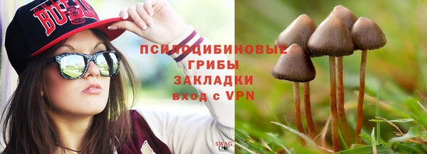 дмт Алзамай