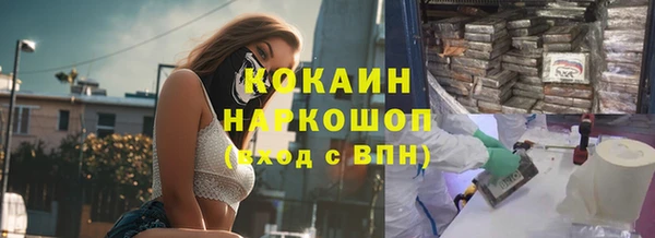 гидра Алексин