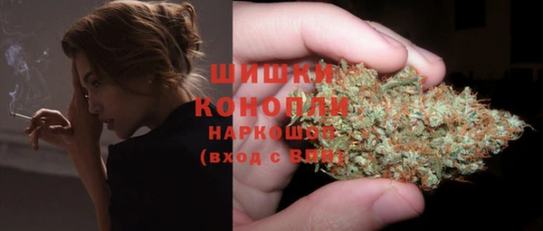 дмт Алзамай
