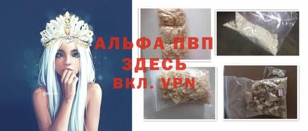 гидра Алексин
