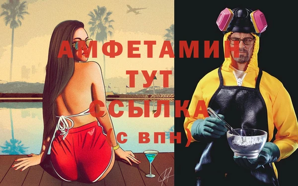 дмт Алзамай
