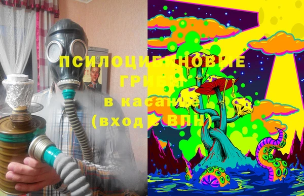 дмт Алзамай
