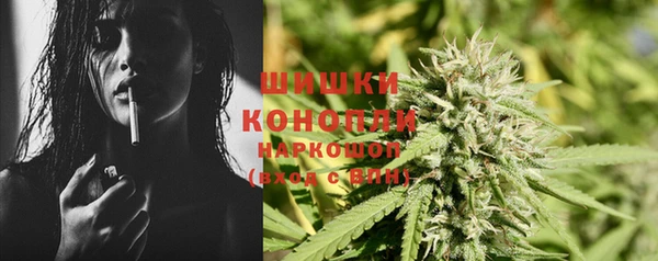 дмт Алзамай