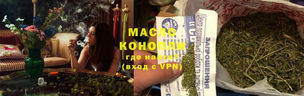 дмт Алзамай